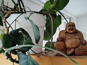 Harmony Power Heilpraktikerschule - Dozent Heilpraktiker*in für Psychotherapie